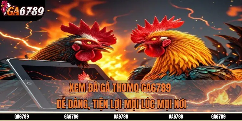 Xem đá gà Thomo GA6789 dễ dàng, tiện lợi mọi lúc mọi nơi