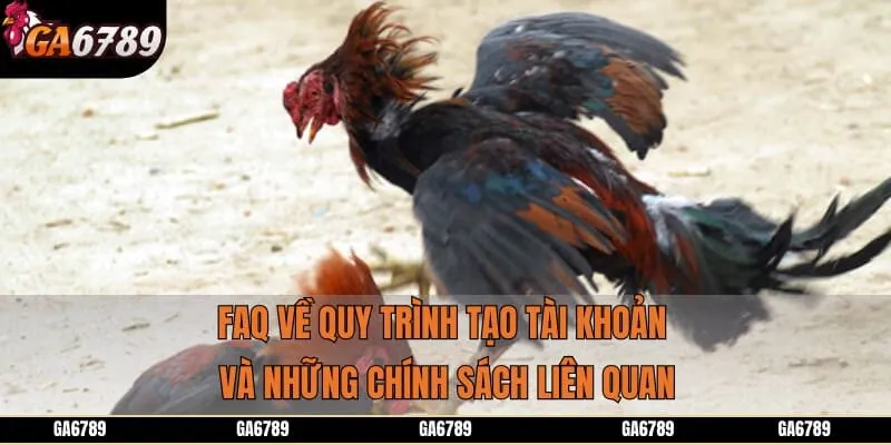 FAQ về quy trình tạo tài khoản và những chính sách liên quan