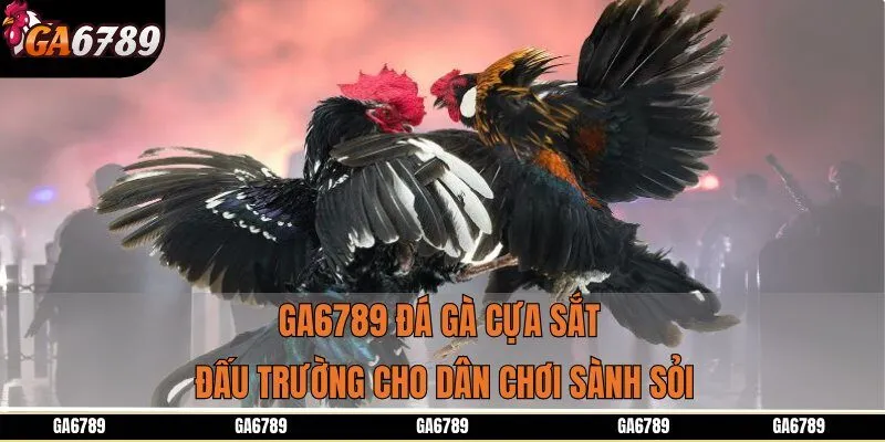 Ga6789 Đá Gà Cựa Sắt