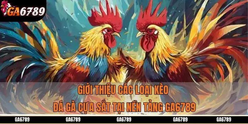 Giới thiệu các loại kèo đá gà cựa sắt tại nền tảng Ga6789