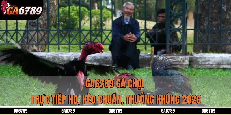 Ga6789 Gà Chọi