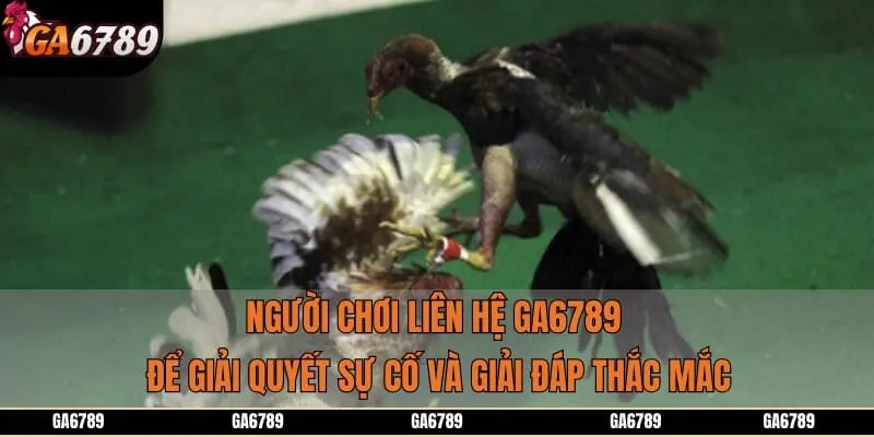 Người chơi liên hệ GA6789 để giải quyết sự cố và giải đáp thắc mắc