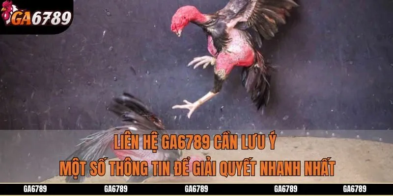 Liên hệ GA6789 cần lưu ý một số thông tin để giải quyết nhanh nhất