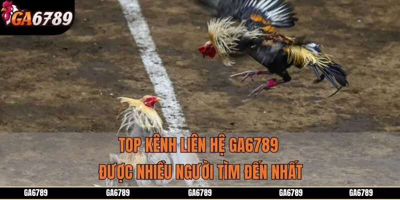 Top kênh liên hệ GA6789 được nhiều người tìm đến nhất