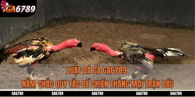 Luật Đá Gà Ga6789