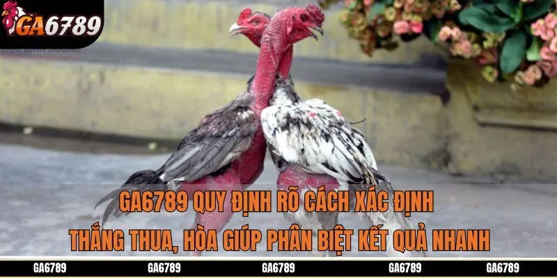 Ga6789 quy định rõ cách xác định thắng thua, hòa giúp phân biệt kết quả nhanh