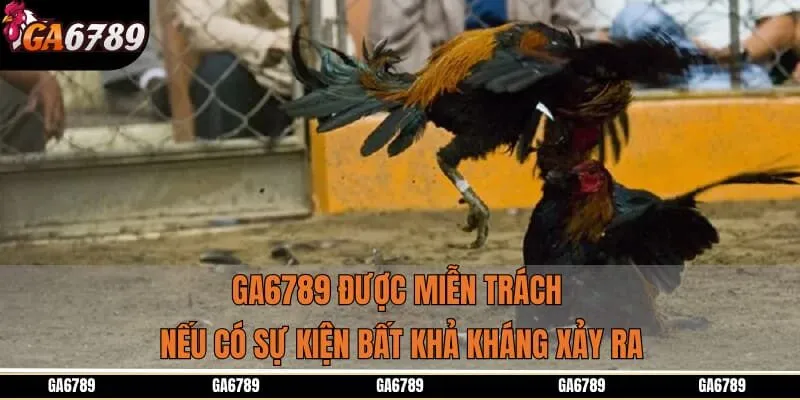 Gà 6789 được miễn trách nếu có sự kiện bất khả kháng xảy ra