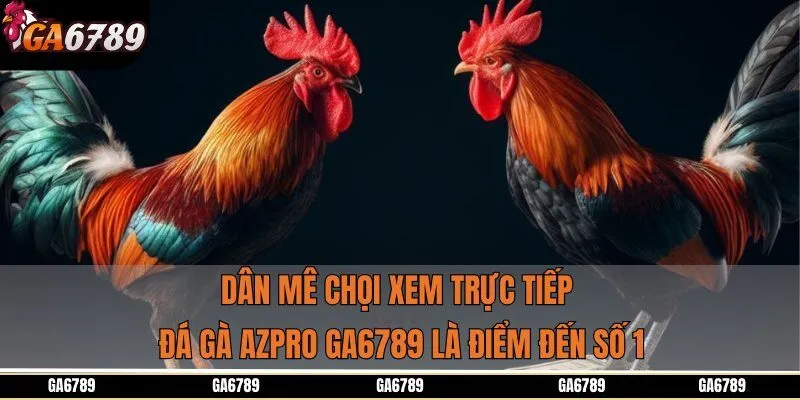Dân mê chọi xem trực tiếp đá gà AZPRO GA6789 là điểm đến số 1